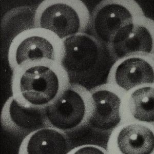 meet your posher, naomi